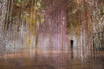 Rebecca Louise Law, Installationsansicht Community, 2018,
Toledo Museum of Art, Ohio, USA