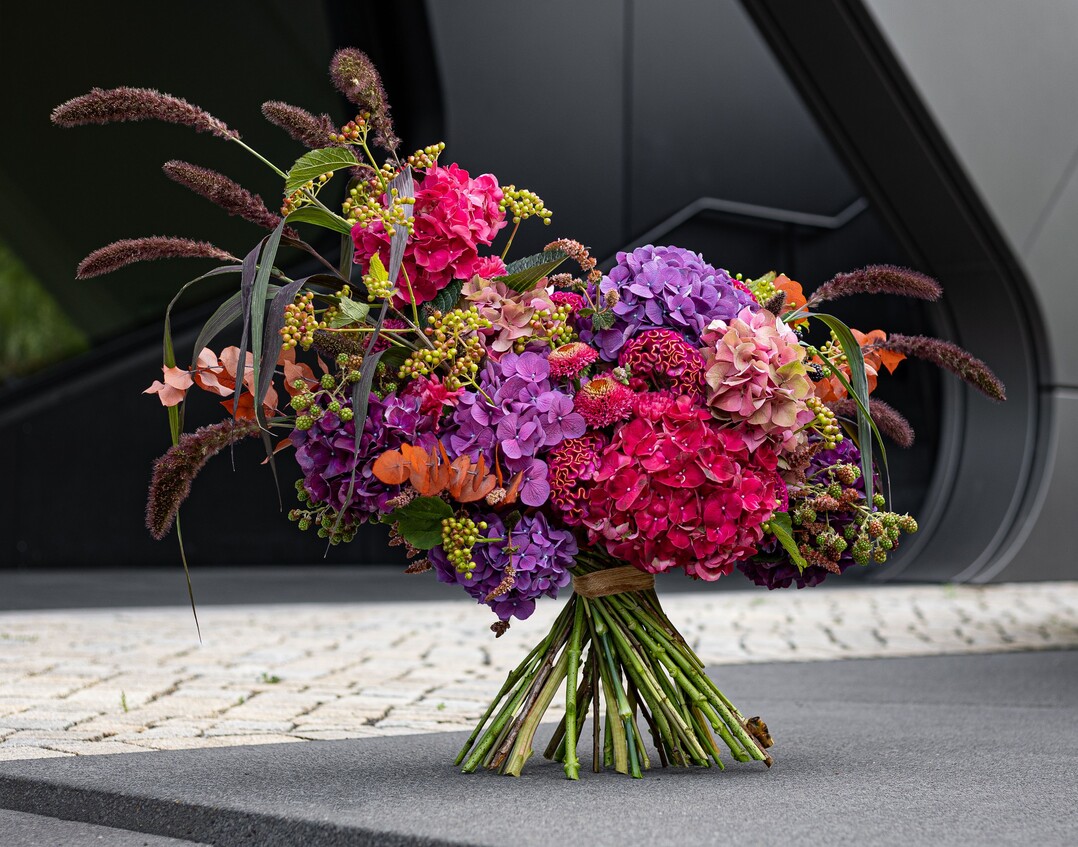 Roaring Red: amorphes Blumenobjekt mit expressiv ausbrechenden Fruchtständen.
