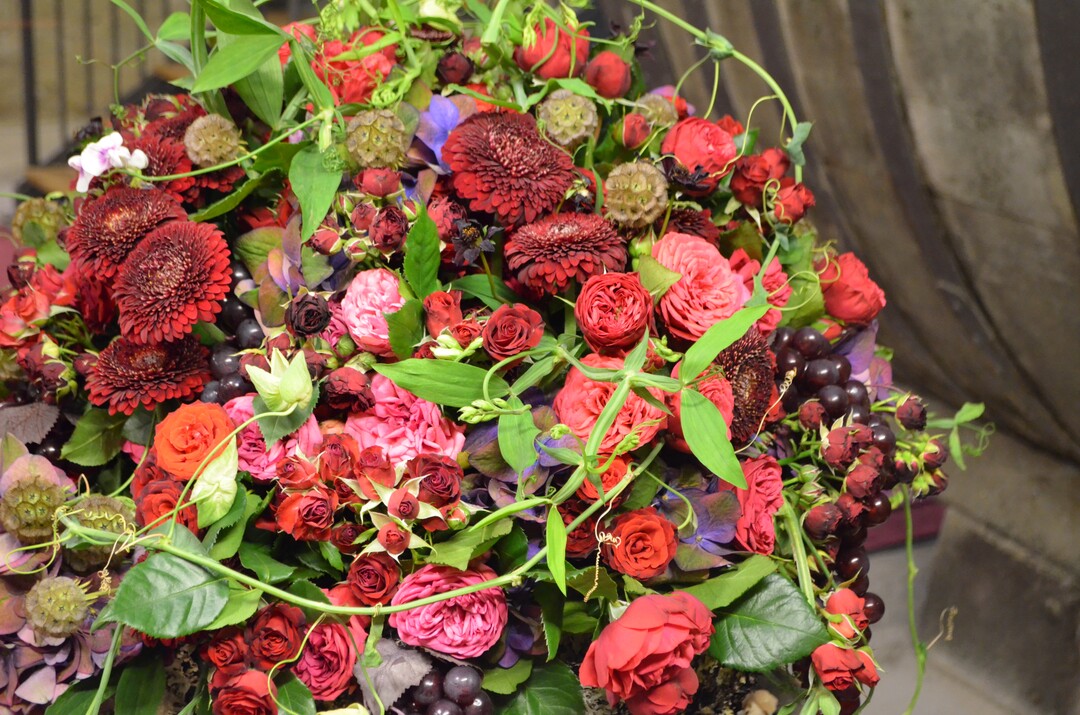 Der Valentinstag ist Anlass für die Gewerkschaft, für Florist-Azubis in Ostdeutschland gute Bedingungen zu fordern.