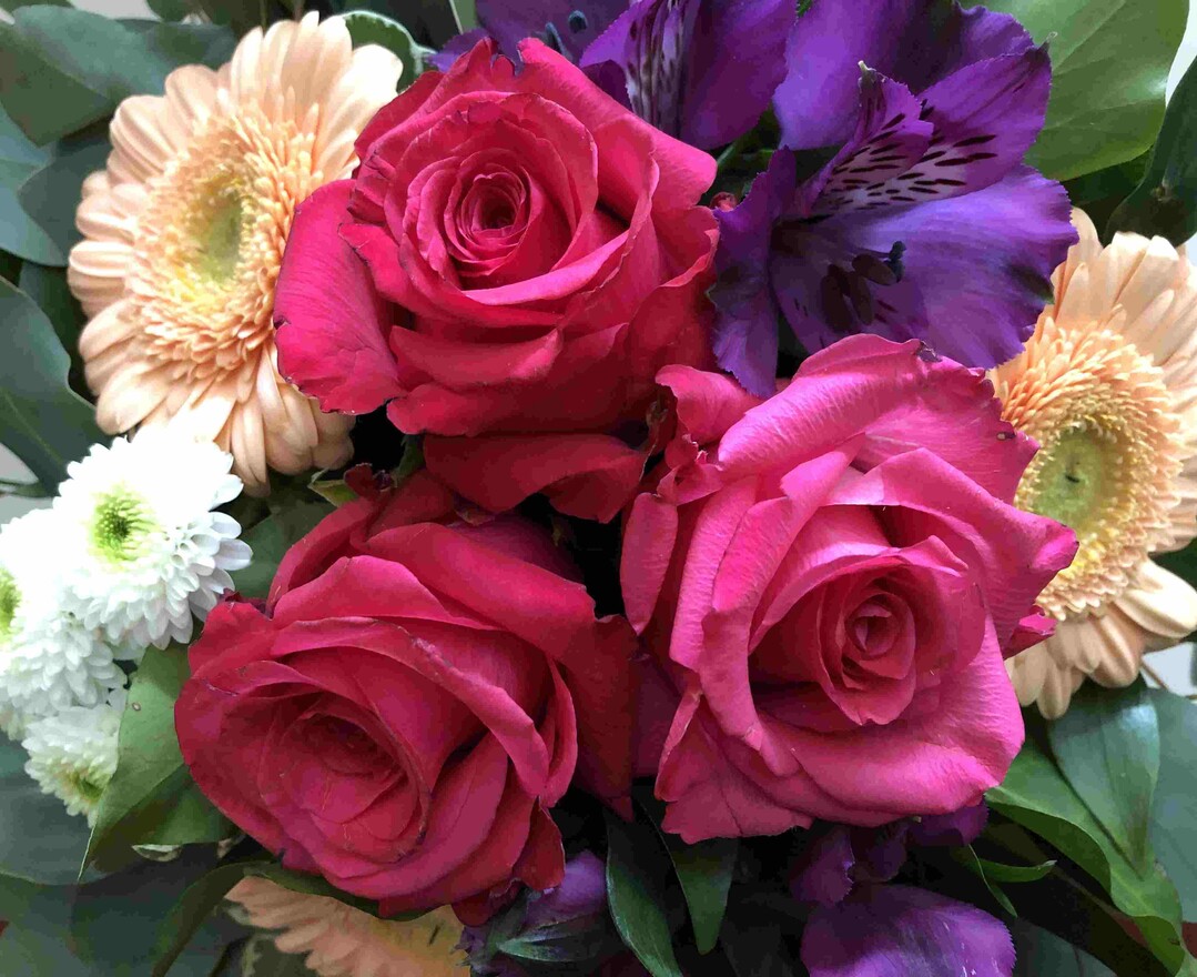 Rosen gehören auch am Muttertag zu den beliebtesten Blumen.