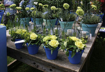 Gestecke, haltbare Einzelblumen, Kerzen in floral geschmckten Glasgefen, Kruter und andere Pflanzen bereicherten sich gegenseitig in ihrer Wirkung.