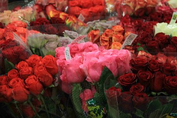 Rosen gehrten neben Pfingtsrosen zu den Lieblingen des Einzelhandels, die hohe Nachfrage und geringe Verfgbarkeiten fhrten zu hohen Preisen 