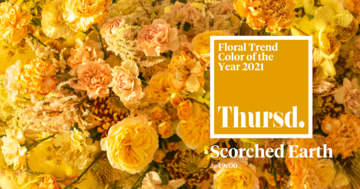 Zur goldgelben Trendfarbe gibt es Kombinationsvorschlge.