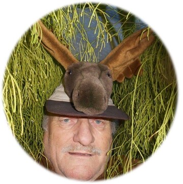 BGI  Harald Alberti von Asian Cuttings ist mit dem Sri Lankischen Elch der Sieger des BGI Fotowettbewerbs