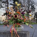 „Ich wünsche alles Gute zum Geburtstag. Schön, dass ihr die Branche schon so lange bereichert. Ihr habt mich immer super informiert,
inspiriert und motiviert. Ich freue mich auf weitere schöne Ausgaben
zum Schmökern“, schrieb Sophie Brodkorb (brodkorbsophie) zu
ihrem Geburtstagsstrauß. Die Floristmeisterin arbeitet bei Gartenbau Rülcker in Dresden. Florieren! kennt und schätzt sie seit ihrer
Ausbildung. „Nachdem mich eine Freundin auf die Challenge aufmerksam gemacht hat, habe ich sie eine Weile verfolgt. Das Thema
dieser Ausgabe fand ich so schön, dass ich mitgemacht habe“,
erzählt sie. Die Floristmeisterin hat uns diesen bunten, wunderbar
locker gebundenen Frühlingsstrauß „geschenkt“.