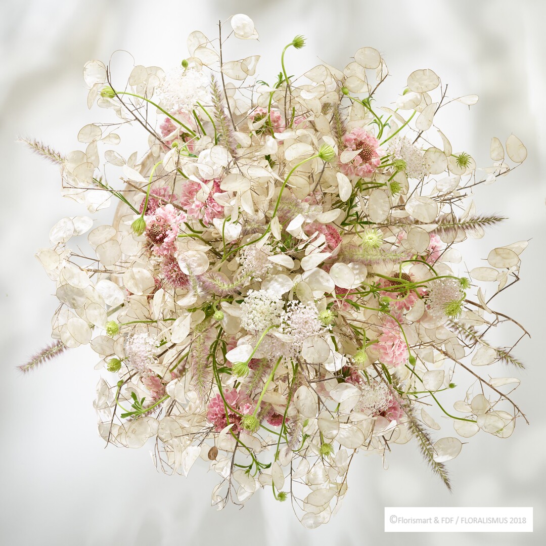 "Delicate Desire", Sweet Dreams - Sense of flowers: Mit seinen zarten Pastelltnen, hellen Farben, und den schimmernden Lunaria ist dieser Strau ein blumiger Eyecatcher.