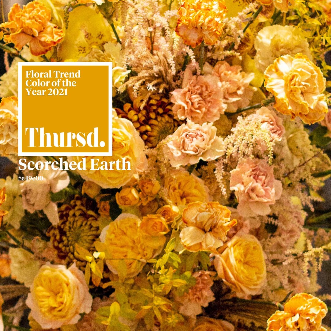 Thursd hat "Scorches Earth" zur Trendfarbe ausgerufen