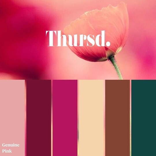 Die Farbpalette zur Trendfarbe