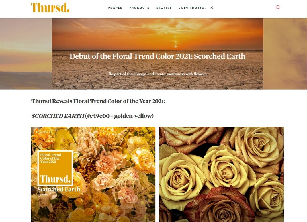 www.thursd.com bietet Inspiration rund um "Verbrannte Erde"