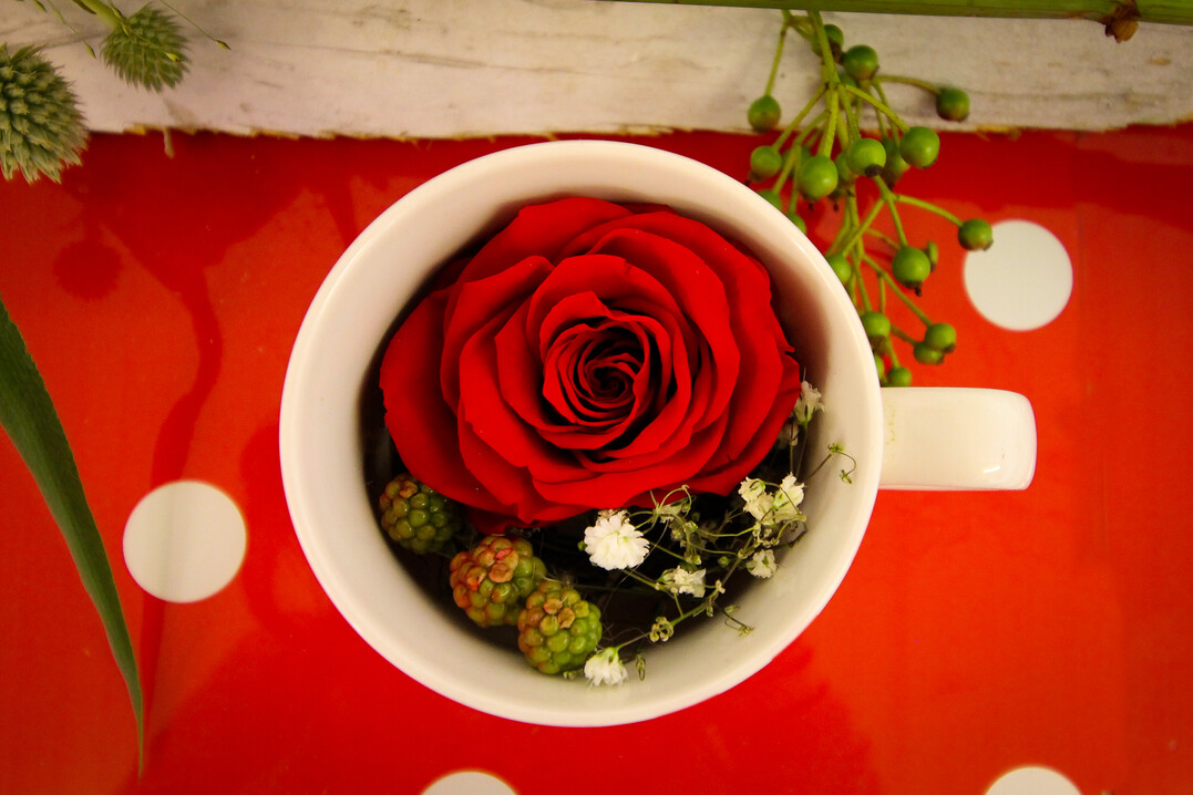 Eine Tasse Rosen bitte: Die Arbeiten der Grtnereien sind wie immer sehr kreativ.