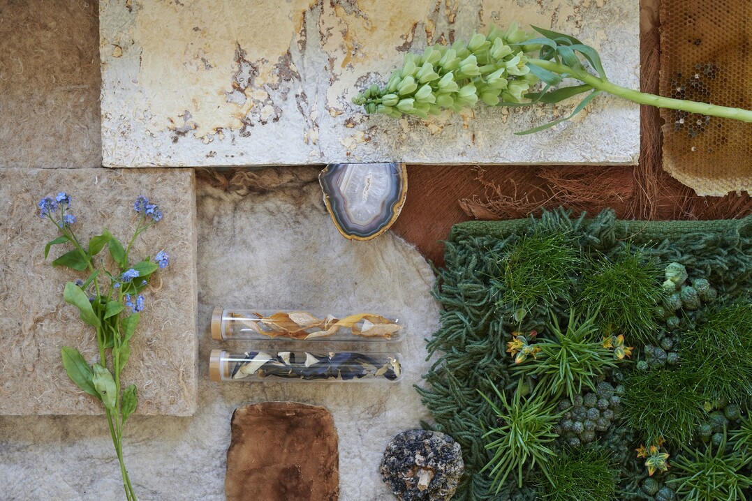 Groenbranche-Trend "Balanced Biotope"