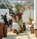 Das vielfältige Pflanzkübelsortiment von Helmes
umfasst heute unter anderem Exklusivprogramme
wie die eigene frostfeste Bauernkeramik
und die Viducci‘s Garden Kollektion. Hinzu
kommen Vasen, Möbel und hochwertige Dekoartikel
für den Wohnbereich. Die Erweiterung
des Gartensortiments um diese Produktgruppen
schlägt sich auch in einem neuen Logo nieder,
das den Zusatz „home & garden“ enthält.