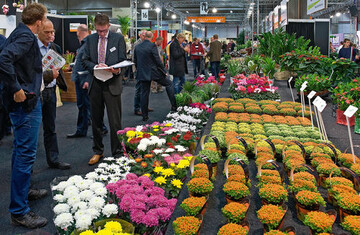 Auf der FloraHolland Trade Fair Aalsmeer findet der Handel nicht nur Blumen und
Pflanzen, sondern auch fertige Konzepte. Im nchsten Jahr findet die Bestellmesse erst Anfang
November statt.