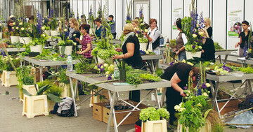 25 hochmotivierte Florist-Azubis bei der Fertigung
des Gestecks  hierfr hatten die Teilnehmer
45 Minuten Zeit.