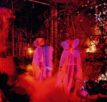 Für die Veranstaltung „Zauberwald“ wurde die
Geschichte „Corethasima und das blaue Volk“
von Birgit Huter umgesetzt. Es ging um Elfen,
Trolle und Zauberwesen, um Energieaustausch
und Licht und Schatten. Die Geschichte wurde
floristisch umgesetzt, doch eine Adventsausstellung
im herkömmlichen Sinn war das nicht,
so Rüdiger Coreth.