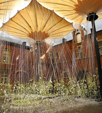 Araik Galstyan und sein Team verwandelten den Innenhof des Schlosses
in eine weiße Blumenwelt zum Träumen. Für die Besucher war es
ein Erlebnis, zwischen weißen Blumen spazieren zu können.