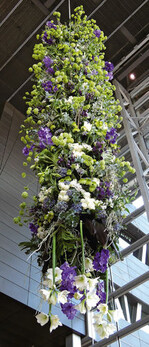 Den Blumenschmuck für die Dinner
Party nach der Krönung gestaltete
Heleen Valstar mit ihrem
Team. Spektakulär zeigte sich
ein 8 m hohes, von der Decke
hängendes
Arrangement