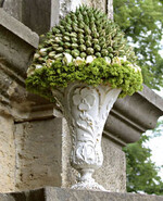 Im Sommer können ganz unterschiedliche Themen umgesetzt werden, zum Beispiel mit Rosen...