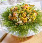 Den Strauß „Lass die Sonne in Dein Herz“ für
familienorientierte Kunden gestaltete Meik
Schnitger. Der Rand aus Grün gibt den Blumen
schützenden Halt. Die runde Form symbolisiert
liebevolles Miteinander, Wir-Gefühl und Geborgenheit.
Verarbeitet wurden 15 Hirtentäschel,
7 Kamille, 5 Alstromeria, 10 Tulpen ‘Adrem’,
7 Santini, 6 Asclepias, 6 Ammi visnaga, 1 Basisgerüst
aus Muehlenbeckia-Ranken.