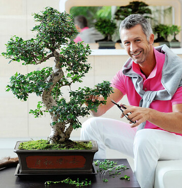 Die Botschaft: Der Bonsai ist ein Freund frs
Leben, lsst sich wie keine andere Pflanze formen
und verlangt Aufmerksamkeit.