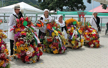 Die Feria de las Flores fand 2010 zum 53. Mal statt. Alle TV- und Radiostationen
und alle Zeitungen berichten ber das Ereignis.