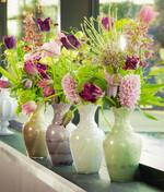 Bei den Schnittblumen steht im Mittelpunkt,
dass sie Atmosphäre schaffen und Frühlingsgefühle
ins Haus bringen. Bei Zwiebelpflanzen im
Topf – für Garten, Terrasse oder Balkon – liegt
der Akzent auf der einfachen Handhabung und
darauf, wie schnell man in den Genuss einer
blühenden Umgebung kommen kann.