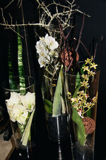 Waltraud Maisch zeigte floristische Ideen,
betonte aber die Bedeutung der Kontaktpflege.