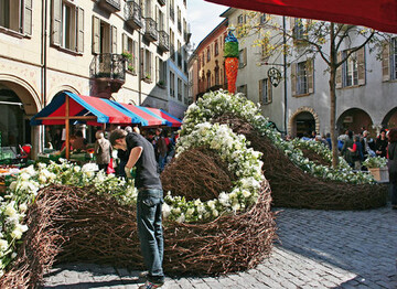Mit einem floralen Drachen gewannen Andrea Lehmann, Beatrice Chopard
und Philipp von Arx (Sektion Bern, Solothurn) den ersten Preis. Der
Drache ist Bellinzonas Wappentier.