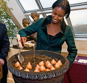 Ayaan Hirsi Ali taufte im New Yorker Metropolitan
Museum of Art die Tulpensorte Ayaan.