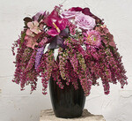 Gefragt: IDEEN für
HEIDE und AZALEEN