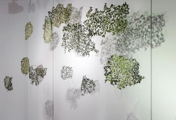 Heimische Swasser-Linsen (Lemna trisulca), durch dnne Fadenkonstruktionen zusammengehalten (Werkstck von Naira Manukyan, Naturstudie der Flora der Unterwasserwelten) 