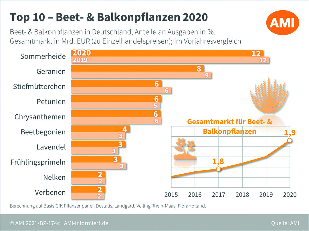 Top 10 – Beet- & Balkonpflanzen 2020