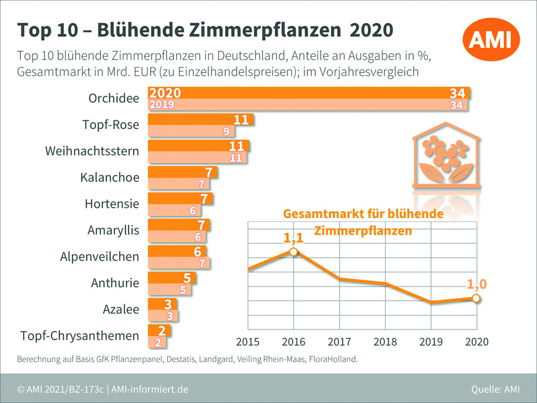   Blhende Zimmerpflanzen 2020