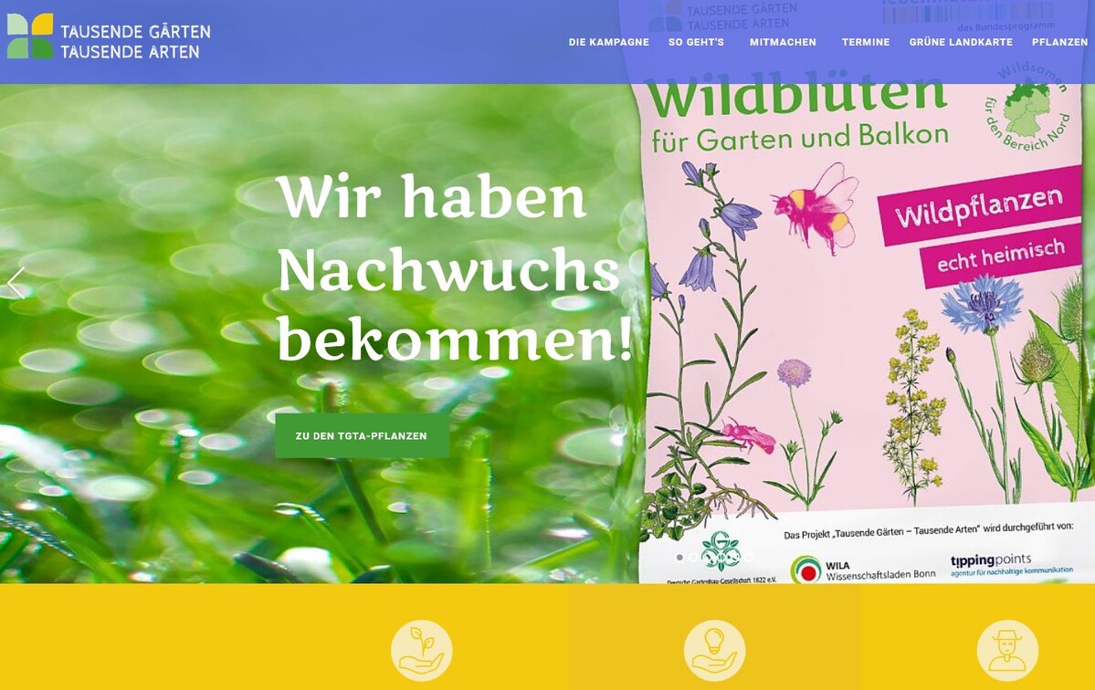 Gärtnern für die biologische Vielfalt florieren!